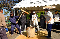 【2016農大祭に同窓会が餅つきブースを開設しました】