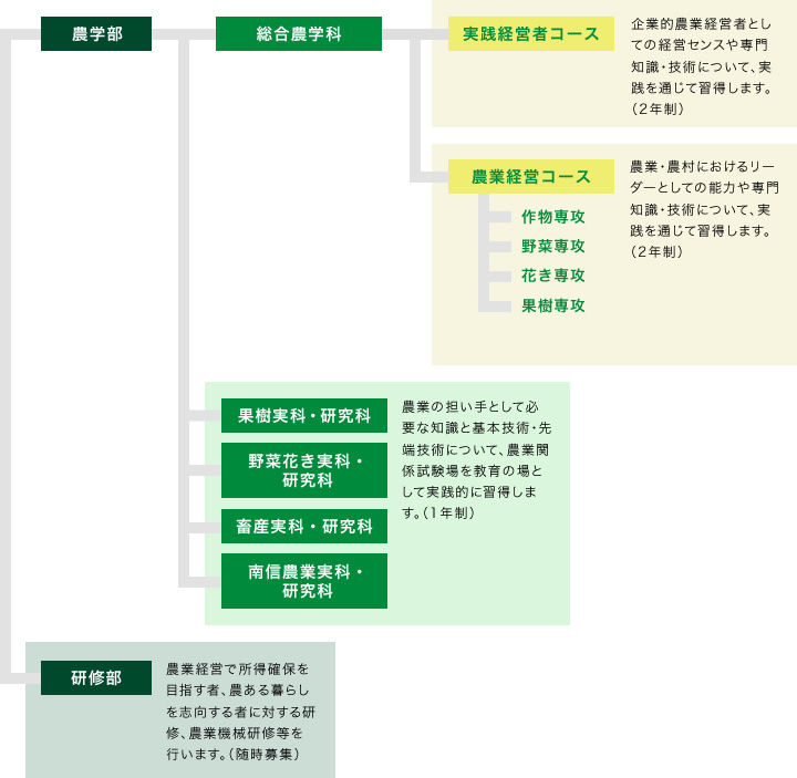 組織図