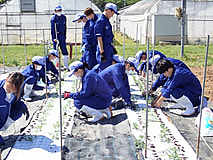 連休明けの農場実習