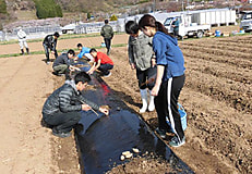 農場実習始まる