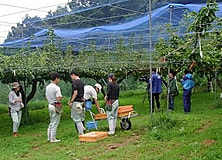 農大を沢山取材していただきました。