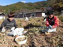 農大祭準備進む　その２