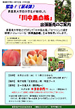 長野県庁生協で桃を販売しました。