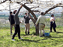 農場実習始まる