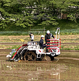 最新の直進アシスト付き田植え機に試乗しました