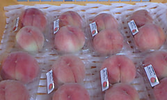 長野県庁生協で桃を販売しました。
