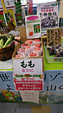 ららぽーと甲子園（兵庫県）で桃を販売しました