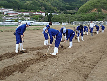 基本技術の実習