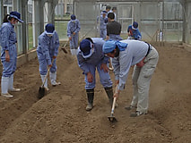 農場実習で農作業の基本技術を学びました