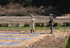 プロジェクトの準備が順調に進んでいます