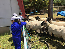 小学校の小遠足