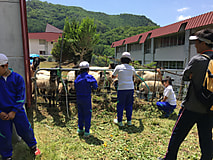 小学校の小遠足