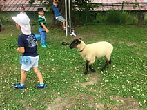 子羊のその後