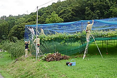 7月19日　1年生専攻実習の様子です