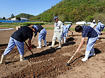 実践経営者コース・農業経営コース1年生農場実習(農業基本技術)