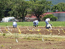 令和６年度第1回目畜産実習を行いました。