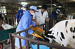 今年度最初の畜産（酪農）実習が行われました。