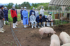 今年度最初の畜産（酪農）実習が行われました。