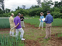 実践経営者コース2年の農業経営実習中間検討会がありました　その2