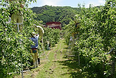 ほ場では課題解決に向けた実習がスタートしています