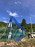 果樹園に防鳥ネットを設置しました